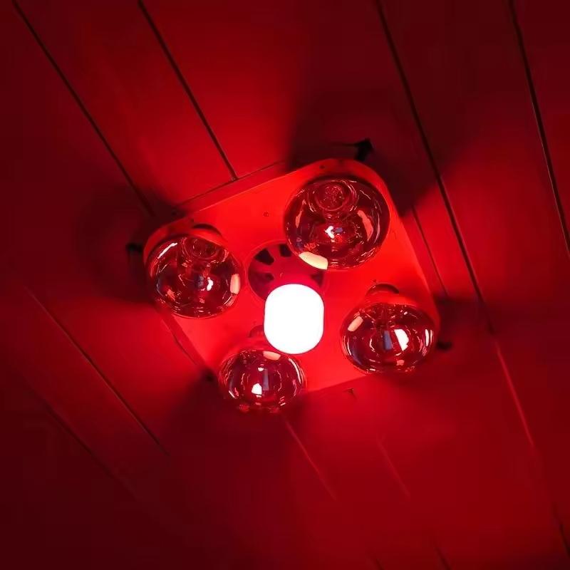 Outdoor Lighting Solar - 新型ハイパワーレッドLED電球 E27/B22 220V 5W 10W 15W